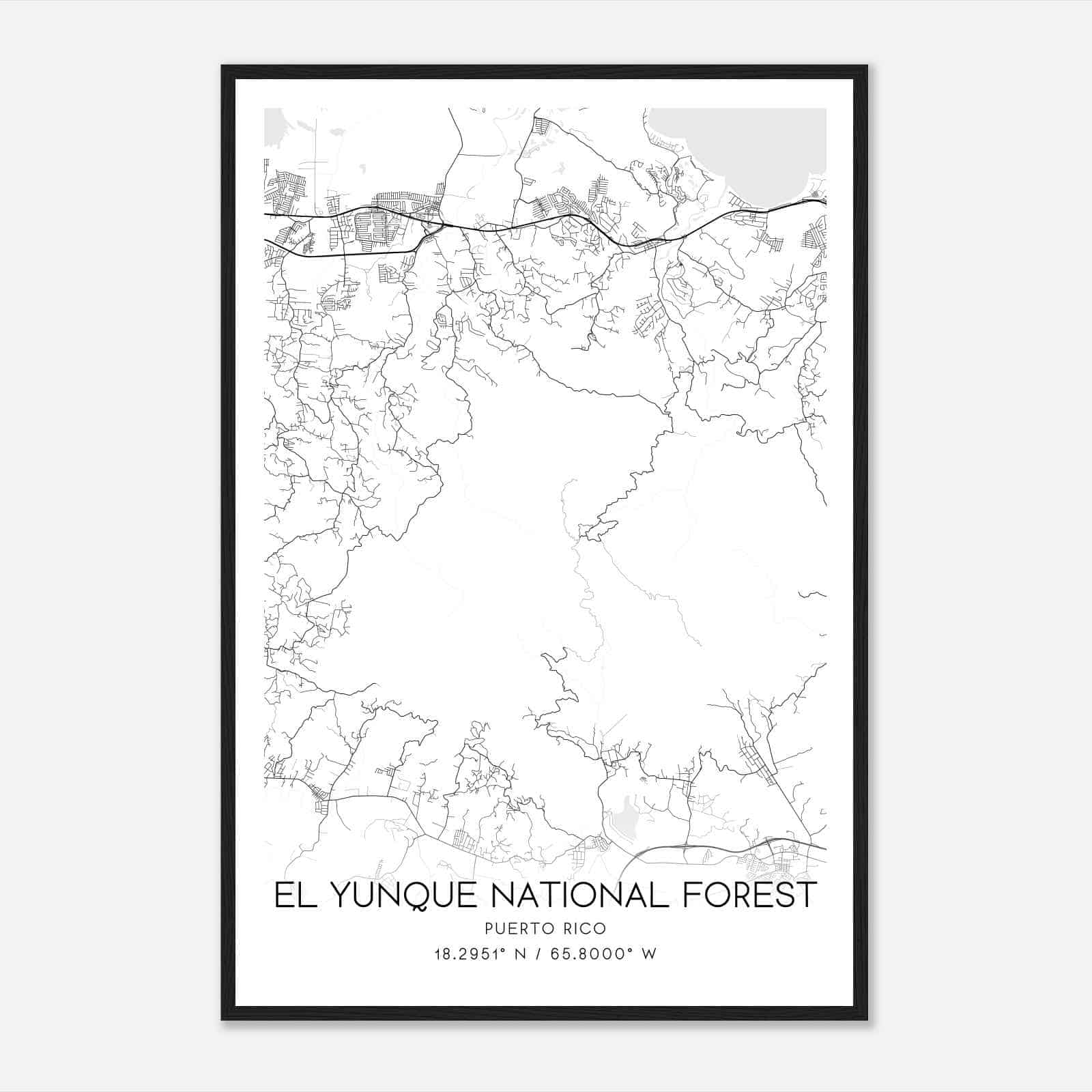El Yunque National Forest Custom - 11f00e1ab5738c1c86b0e80e3bbe996d 